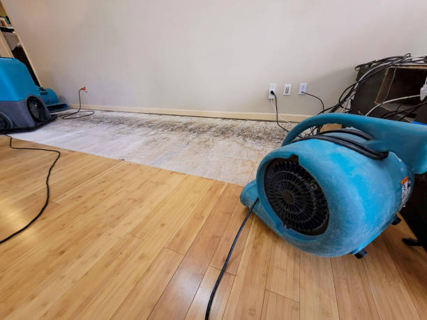 Reliable Basement Flood Cleanup contractor in Pittsville, MD by Hirex Water Damage