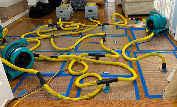 Professional Basement Flood Cleanup technician working in Pittsville, MD